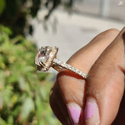 Cushion Beauty | Fine Craft | Dainty Set